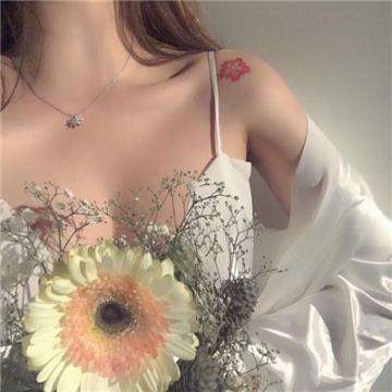 欧宝江南官方下载